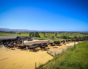 New technologies and innovative products that reduce the environmental footprint of the dairy industry