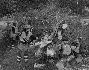 Generation Program Delivered in South Waikato