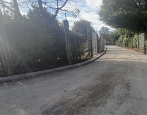 Hamilton Zoo Giraffe Night Yards &amp; Raceway