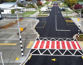 Williamson Street Streetscape