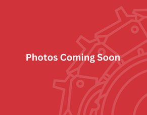 Rangitahi Bridge Crossing