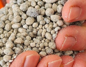 Regen or Anti-degen for Kiwi Farmers?