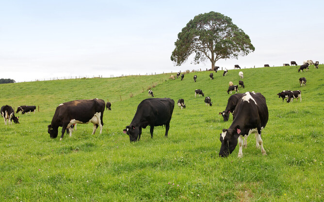 A responsible use of nitrogen is important.