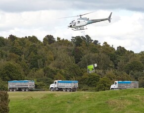 Seeds are safe with dicalcic phosphate