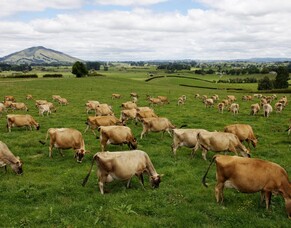 Plan now for summer and beyond