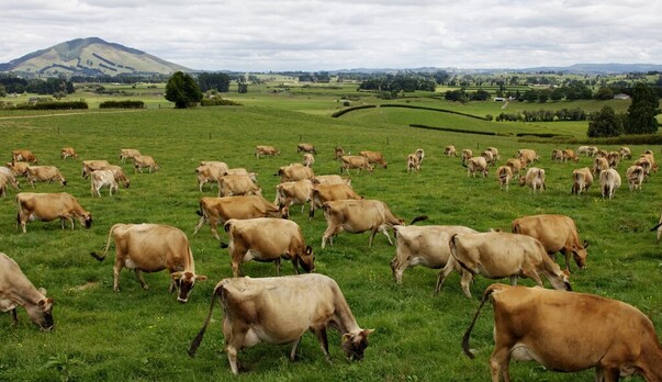 Plan now for summer and beyond