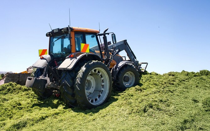 A tractor working on a pile of harvested silage, baleage or hay.