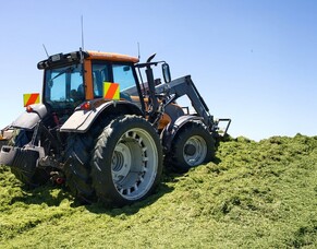 Put nutrients back after harvest