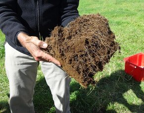 Soil Tests that go beyond Chemistry