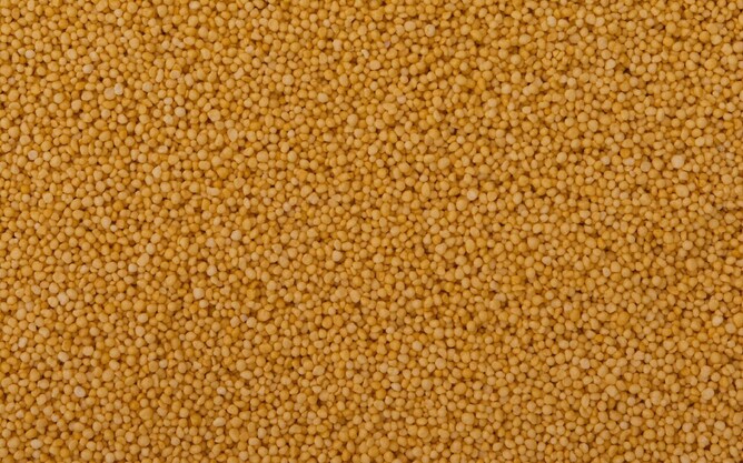 A close-up of an urea CRF product that has a biodegradable polymer coating.