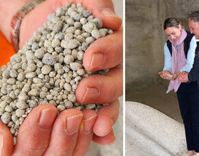 Innovation through Collaboration