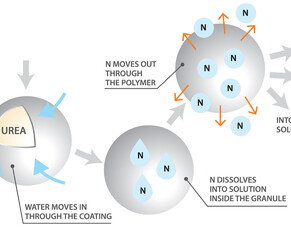 Take control of your nitrogen use