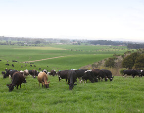 Phosphates that reduce Wastage