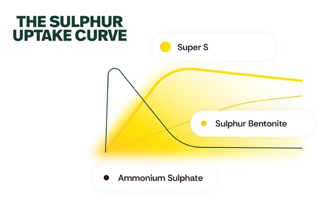 Infographic showing Sulphur Uptake for Super S