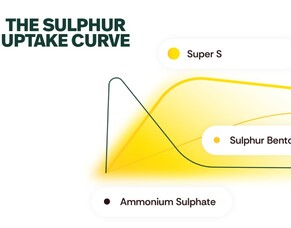 Particle size creates efficiency
