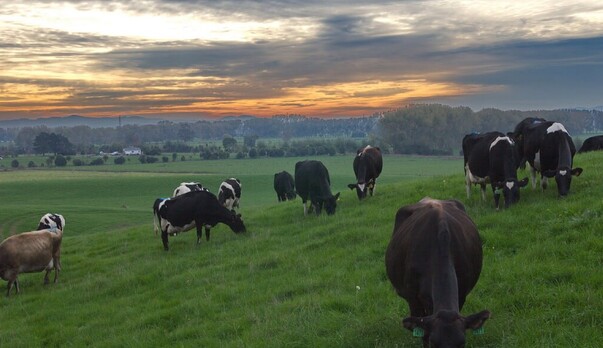 New year time to reflect