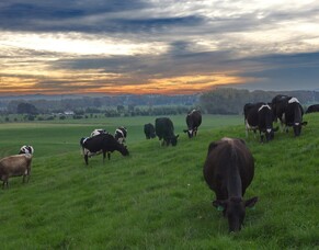 New year time to reflect