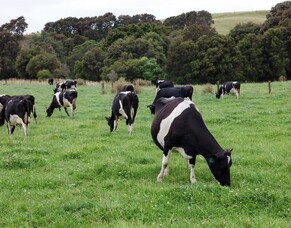 Sustainable fertiliser is smart fertiliser