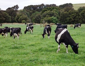 Sustainable fertiliser is smart fertiliser