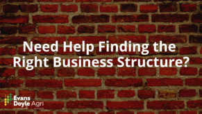 What Business Structure Should I Operate Under?