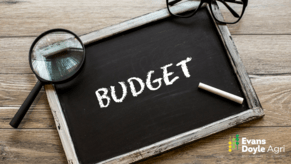 What contract rate should I be on?