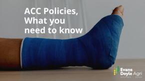 ACC Policies - Which is right for you?