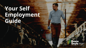 Self Employed for the First Time - What do I need to do?