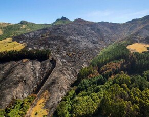 Not just an apple tray