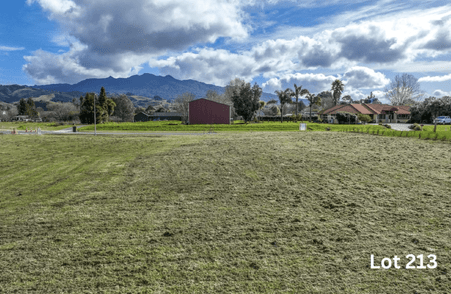 Image of Lot 213 at Amber Views, Collinson Street Subdivision, Pirongia. House & Land Packages available with Whitechurch Construction, quality Waikato builders.