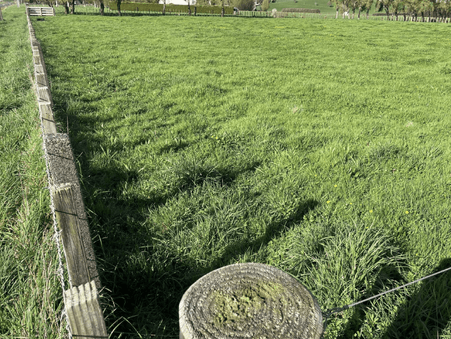 Image green sectioned paddock. 97 Corcoran Road, Te Pahu House & Land Package available with Waikato residential builders, Whitechurch Construction Limited. New Zealand