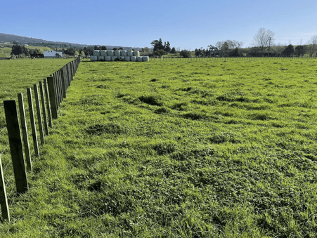 Image green sectioned paddock. 97 Corcoran Road, Te Pahu House & Land Package available with Waikato residential builders, Whitechurch Construction Limited. New Zealand
