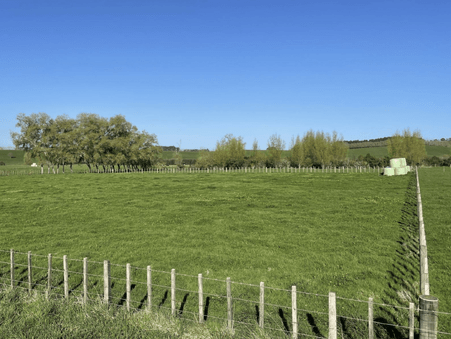 Image green sectioned paddock. 97 Corcoran Road, Te Pahu House & Land Package available with Waikato residential builders, Whitechurch Construction Limited. New Zealand