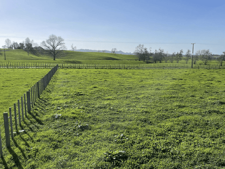 Image green sectioned paddock with rural outlooks. 97 Corcoran Road, Te Pahu House & Land Package available with Waikato residential builders, Whitechurch Construction Limited. New Zealand