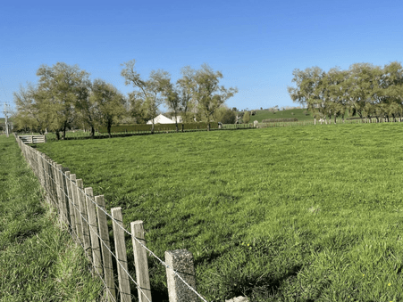 Image green sectioned paddock with bordering trees. 97 Corcoran Road, Te Pahu House & Land Package available with Waikato residential builders, Whitechurch Construction Limited. New Zealand