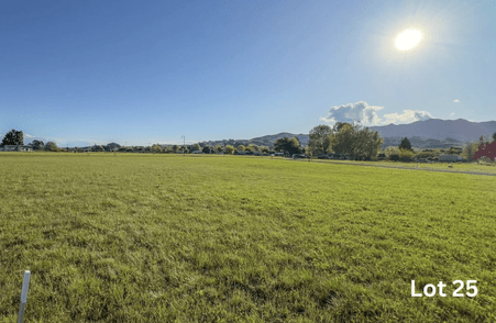 Image of Lot 25 at Amber Views, Collinson Street Subdivision, Pirongia. House & Land Packages available with Whitechurch Construction, quality Waikato builders.
