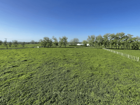 Image green sectioned paddock. 97 Corcoran Road, Te Pahu House & Land Package available with Waikato residential builders, Whitechurch Construction Limited. New Zealand
