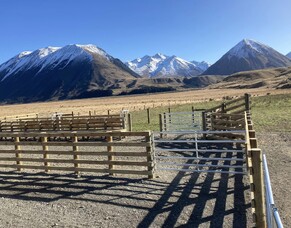 Stockyards in High-Country Canterbury: Essential Features for Durability and Efficiency