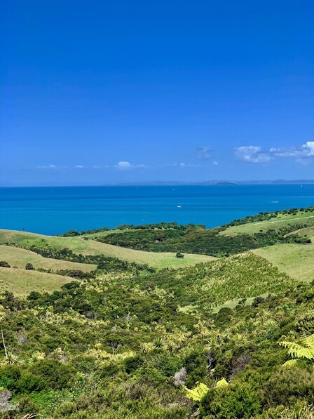 New Zealand Coast Line