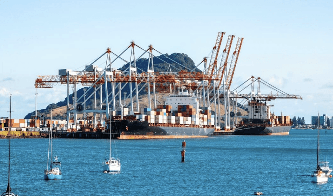 Port of Tauranga safety operations &ndash; New Zealand workplace safety systems