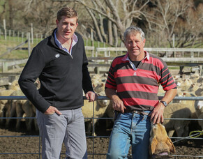FARMAX contributes to sheep and beef business growth