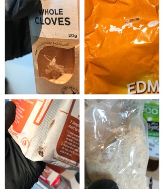 Examples of how pantry moths get into your pantry items