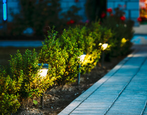 Brighten Up: Outdoor Lighting Tips