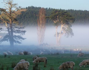 Essential Electrical Checks for Rural Properties Over Winter