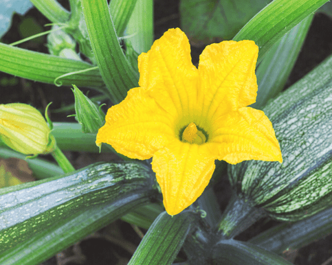 What we have available: