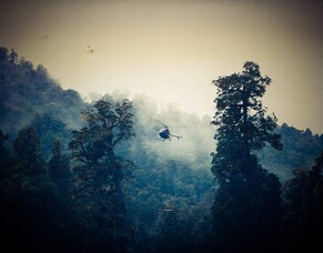 Feral Goat Hunting in the &#039;90s