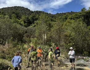 Cultural Monitoring on Mt Te Aroha