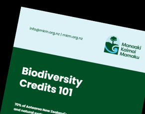 What exactly are Biodiversity Credits?