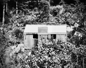 Pānui 7 | Hōngongoi, July 2025