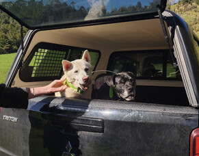 Pānui 8 | Here-turi-kōkā, August 2025