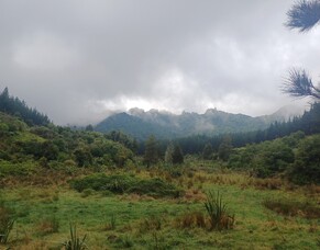 Pānui 4 | Paengawhāwhā, April 2025